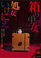 箱中女 1986 电影 海报