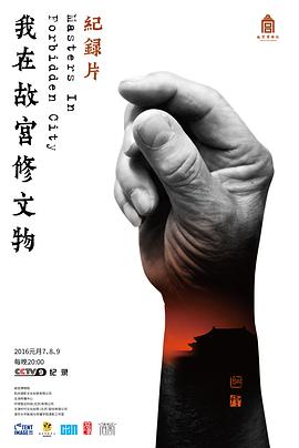 我在故宫修文物 2016 纪录片 海报