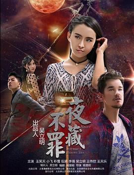夜不藏罪 2017 电影 海报
