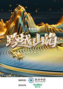跨越山海2024音乐会 2024 综艺 海报