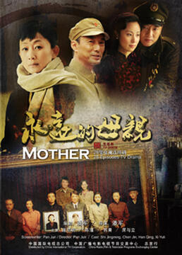 永远的母亲 2010 电视剧 海报