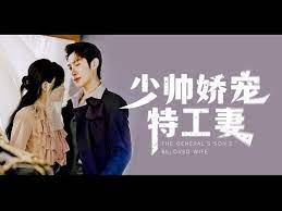 少帅娇宠特工妻 2023 电视剧 海报
