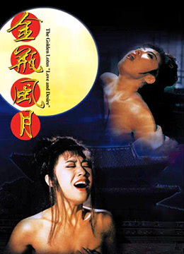 金瓶风月 1991 电影 海报