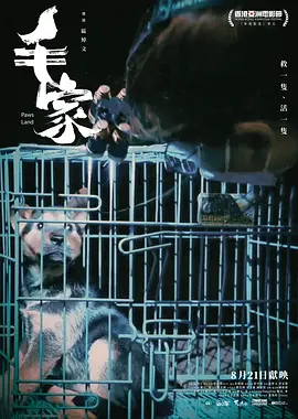毛家 2025 纪录片 海报