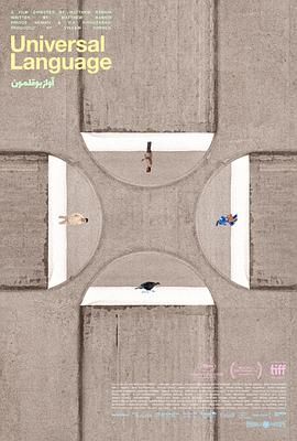 共同的语言 2024 电影 海报