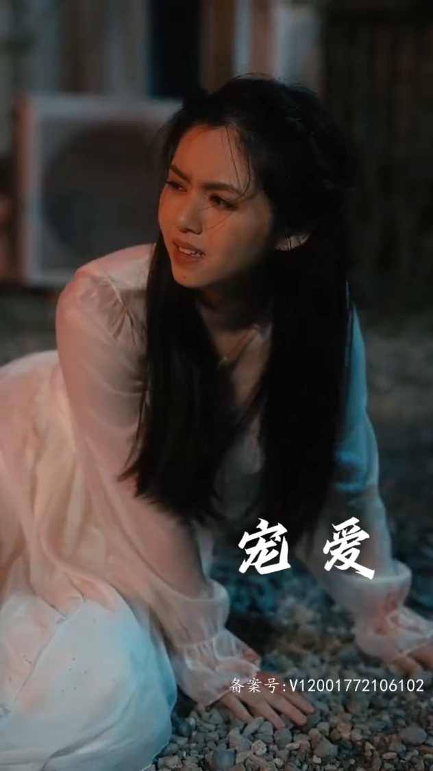 宠爱短剧版 2023 短剧 海报