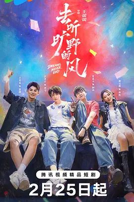去听旷野的风 2026 电视剧 海报