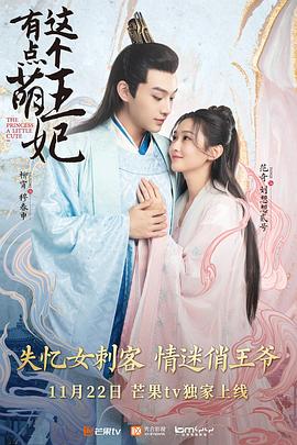 这个王妃有点萌 2021 电视剧 海报