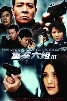重案六组3 2009 电视剧 海报