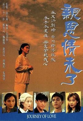 亲恩情未了 1995 电视剧 海报