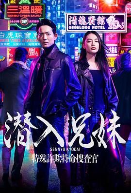 潜入兄妹 特殊诈欺特命搜查官 2024 电视剧 海报