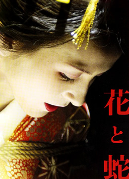 花与蛇2004 2004 电影 海报