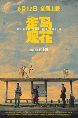 走马观花 2026 电影 海报