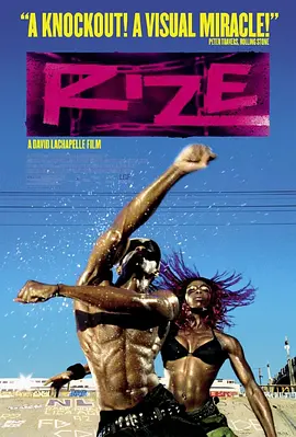 街头舞魂 2005 纪录片 海报