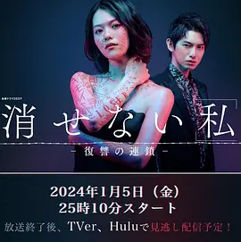 无法消除的“我” ―复仇的连锁 2024 电视剧 海报