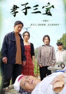 孝子三宝 2024 短剧 海报