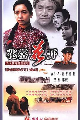 花落花开 1995 电视剧 海报