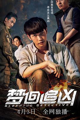 梦回追凶 2018 电影 海报