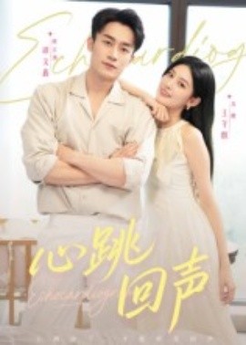 心跳回声 2025 短剧 海报