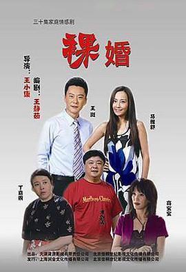 裸婚 2010 电视剧 海报