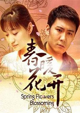 春暖花开 2011 电视剧 海报