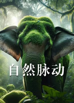 自然脉动 2022 纪录片 海报