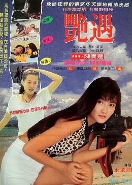 偶遇 1995 电影 海报