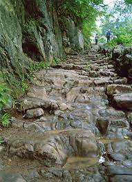 探秘秦朝五尺道 2010 纪录片 海报