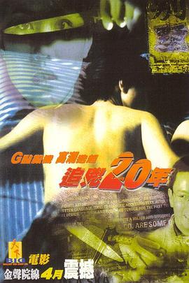 追凶二十年(国语版) 1998 电影 海报