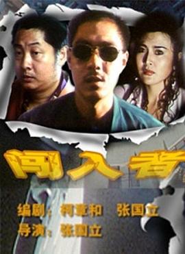 闯入者 1993 电影 海报