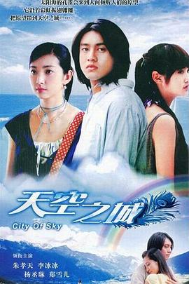 天空之城2004 2004 电视剧 海报
