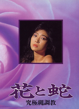 花与蛇 究极绳调教 1987 电影 海报
