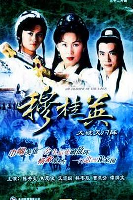 穆桂英之大破天门阵粤语 1998 电视剧 海报