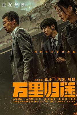 万里归途（预告片） 2022 电影 海报
