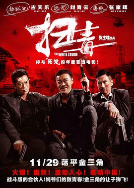 扫毒(国语版) 2013 电影 海报