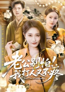 老公别怕!我打人又不疼 短剧 海报