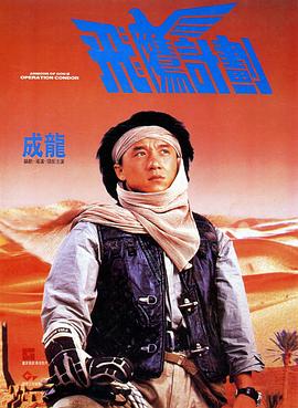 飞鹰计划 1991 电影 海报