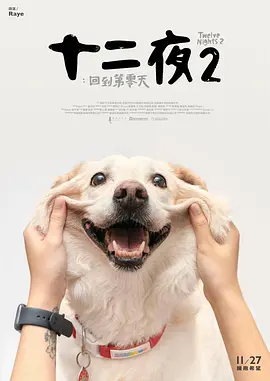十二夜2：回到第零天 2020 纪录片 海报