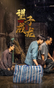 新版:望子成龙 2024 短剧 海报