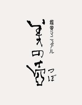 美之壶 2006 纪录片 海报