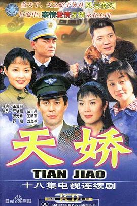 空姐的战争 2003 电视剧 海报