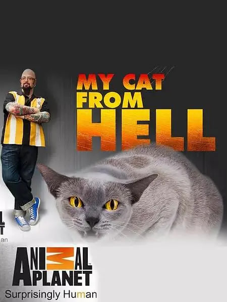 家有恶猫 第七季 2016 综艺 海报