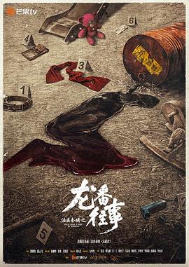 法医秦明之龙番往事 2025 电视剧 海报