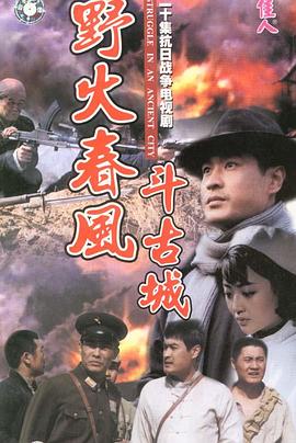 野火春风斗古城 1995 电视剧 海报