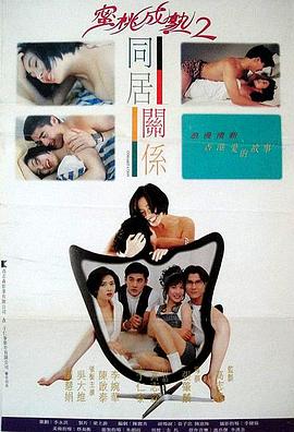 同居关系 1993 电影 海报