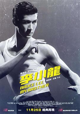 李小龙我的兄弟 2010 电影 海报