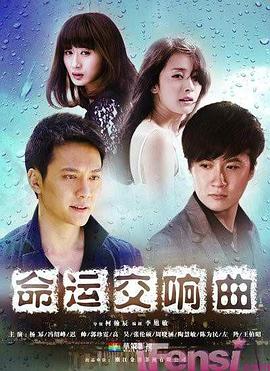 命运交响曲 2011 电视剧 海报