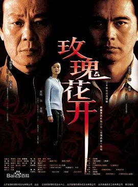 玫瑰花开 2004 电视剧 海报