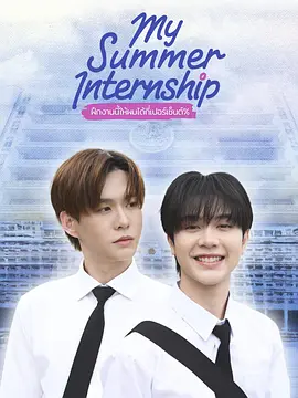 我的夏日实习 2026 电视剧 海报