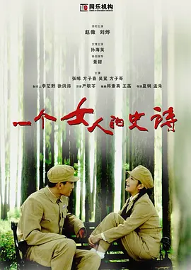 一个女人的史诗 2009 电视剧 海报